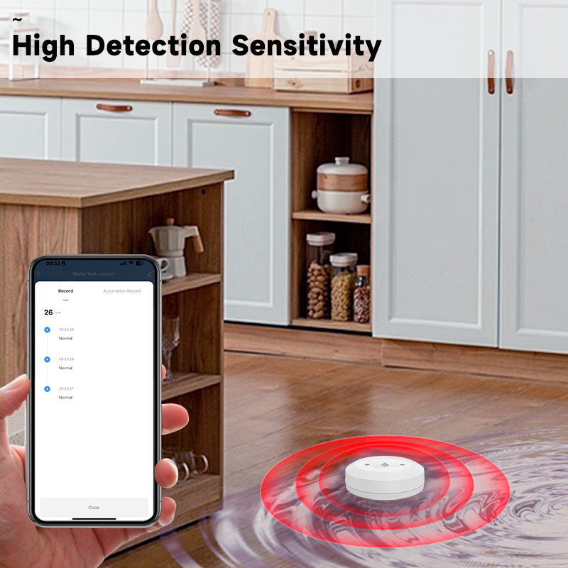 Tuya Zigbee2mqtt Water Immersi - Water Alarm Sensor review and price